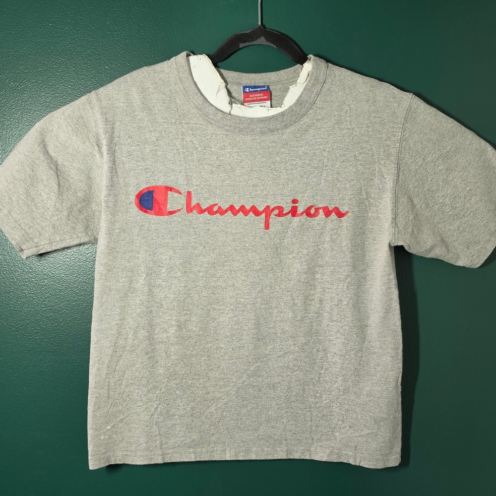 Champion Authentic Athletic Apparel Script Logo T-Shirt Gray Mens Small